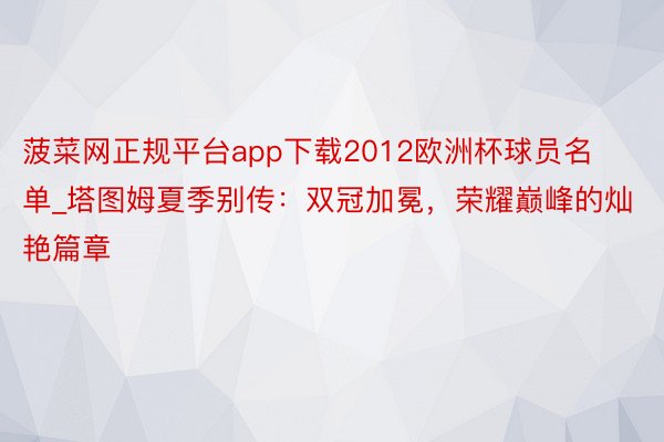 菠菜网正规平台app下载2012欧洲杯球员名单_塔图姆夏季别传：双冠加冕，荣耀巅峰的灿艳篇章